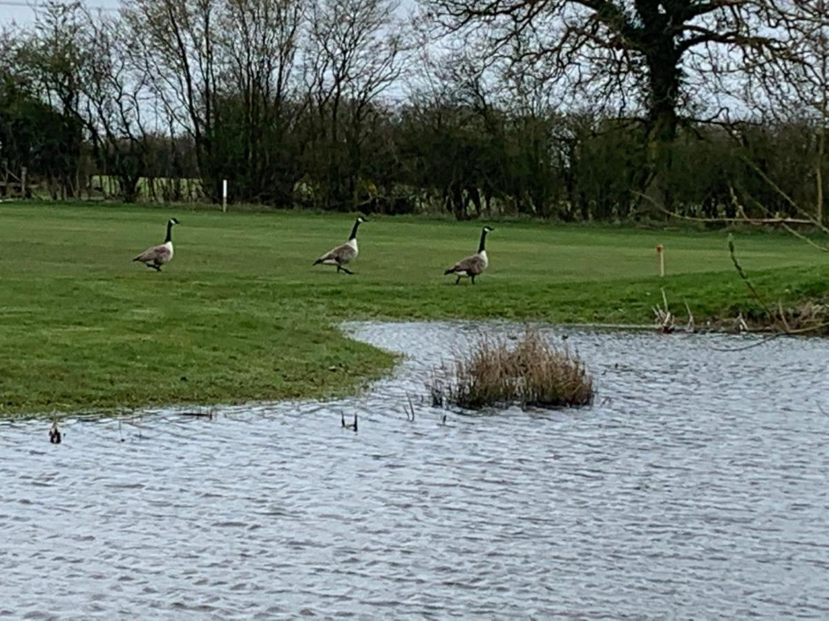 Silverstone Golf Club And Hotel 외부 사진